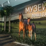 Музей на ВДНХ дополняет занятия школьников в кружках