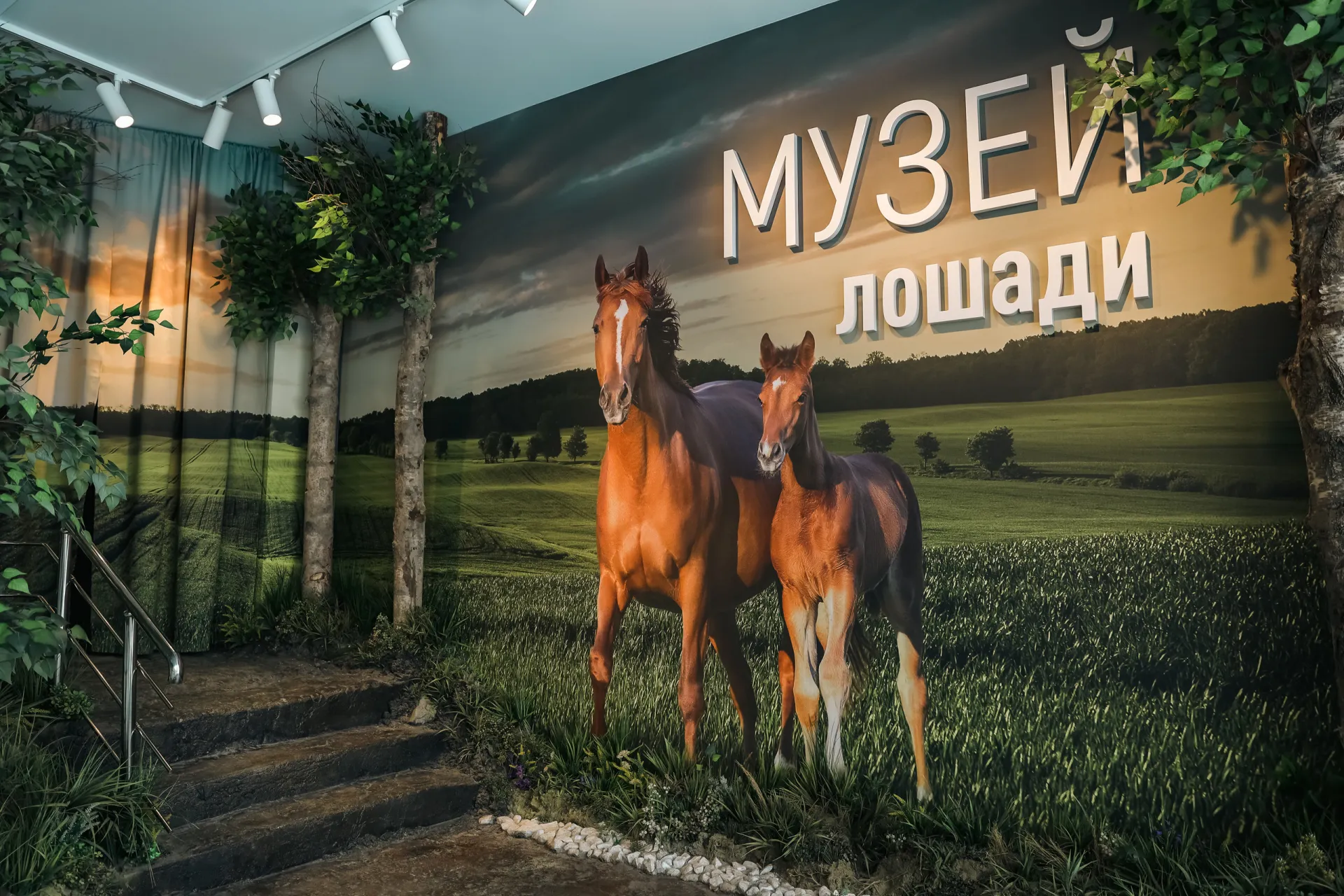 Музей на ВДНХ дополняет занятия школьников в кружках