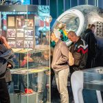 Исторический музей проводит занятия 5–11 октября, парки и ДЮЦ предлагают детский досуг